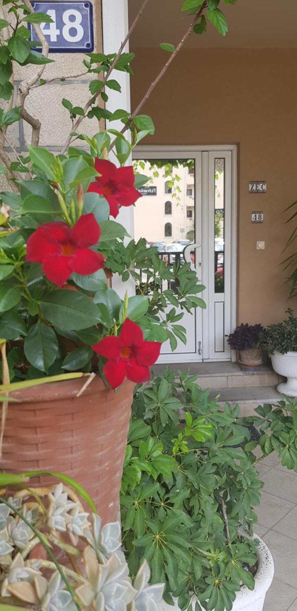 Villa Pedja Zec Exclusive 3+ Budva Exterior foto
